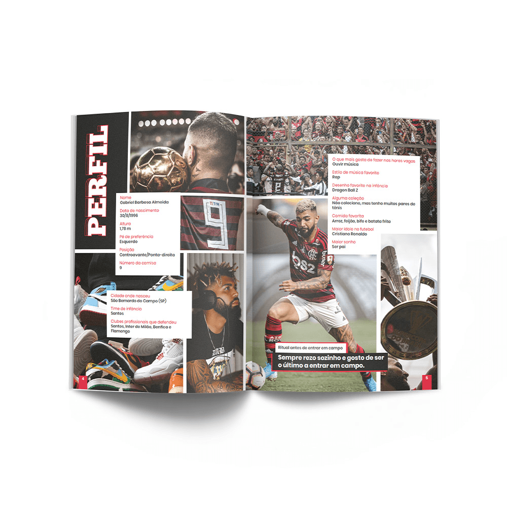 Livro Gabigol - A força de um guerreiro