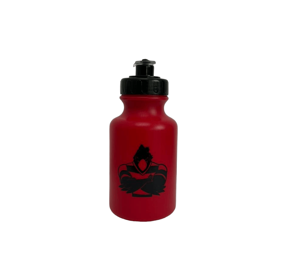 Squeeze Flamengo 300ml