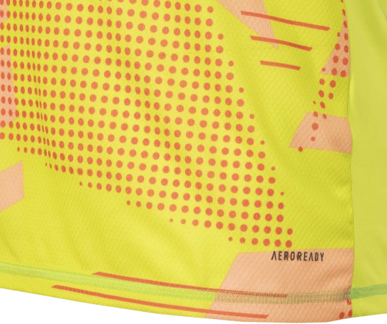 Manto Flamengo Goleiro 1 Adidas 2025